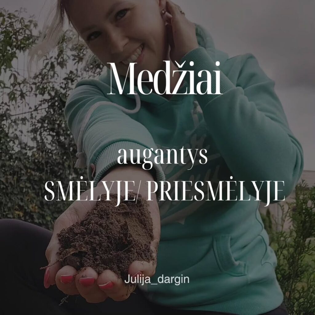 Medžiai augantys smėlyje/ priesmėlyje